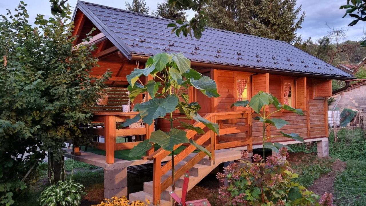 Holiday Home Sajra クレン・ヴァクフ エクステリア 写真