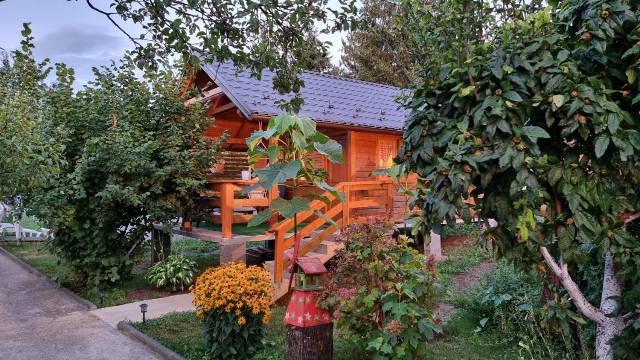 Holiday Home Sajra クレン・ヴァクフ エクステリア 写真