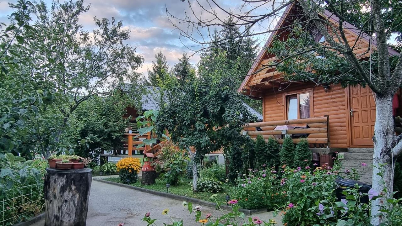 Holiday Home Sajra クレン・ヴァクフ エクステリア 写真
