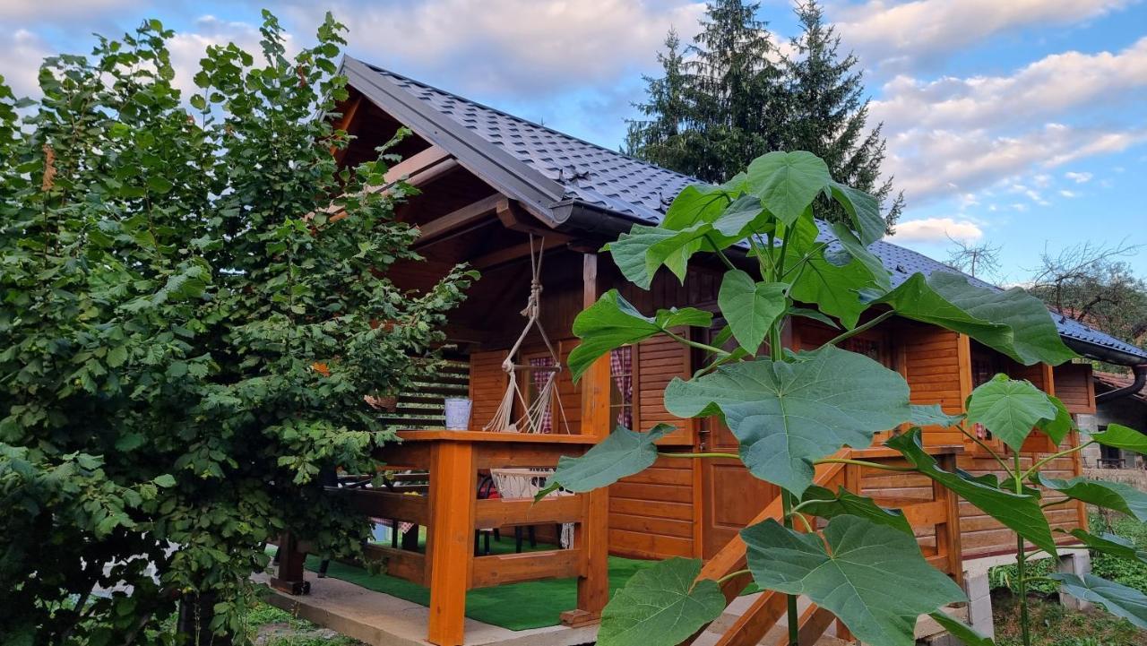 Holiday Home Sajra クレン・ヴァクフ エクステリア 写真